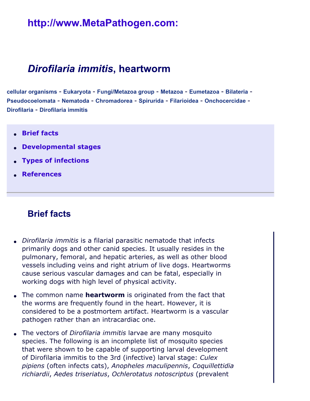 Dirofilaria Immitis (Heartworm)