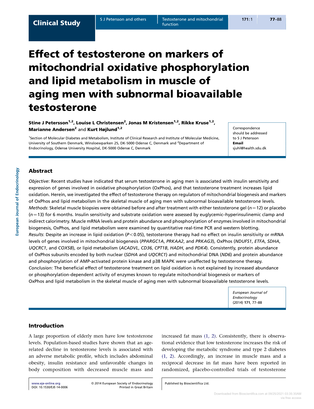 Effect of Testosterone on Markers of Mitochondrial Oxidative Phosphorylation and Lipid Metabolism in Muscle of Aging Men with Subnormal Bioavailable Testosterone