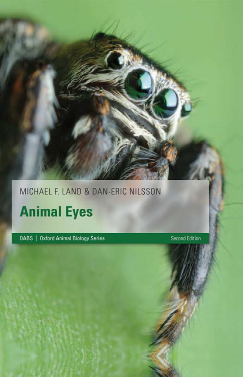 Animal Eyes.Pdf