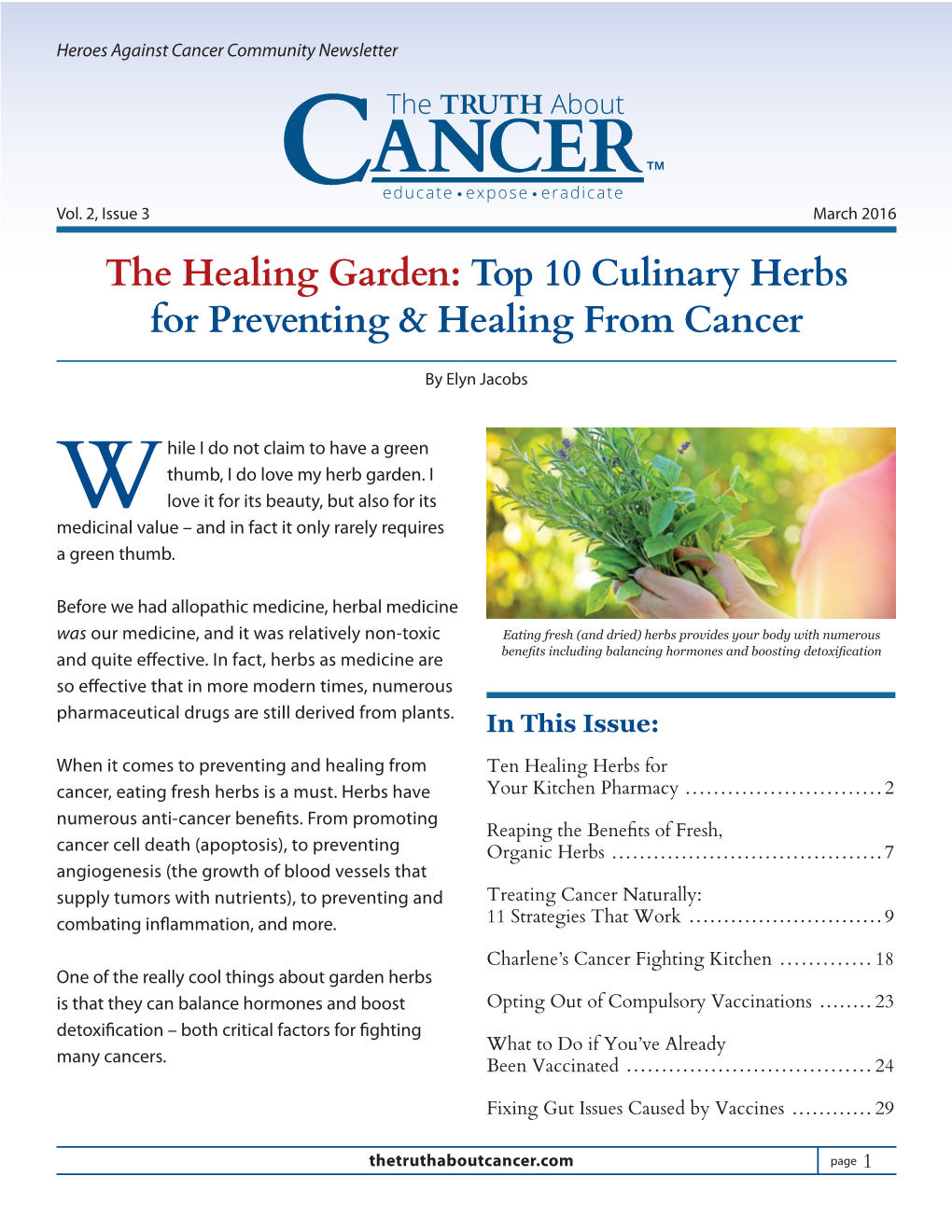 Top 10 Culinary Herbs for Preventing & Healing from Cancer