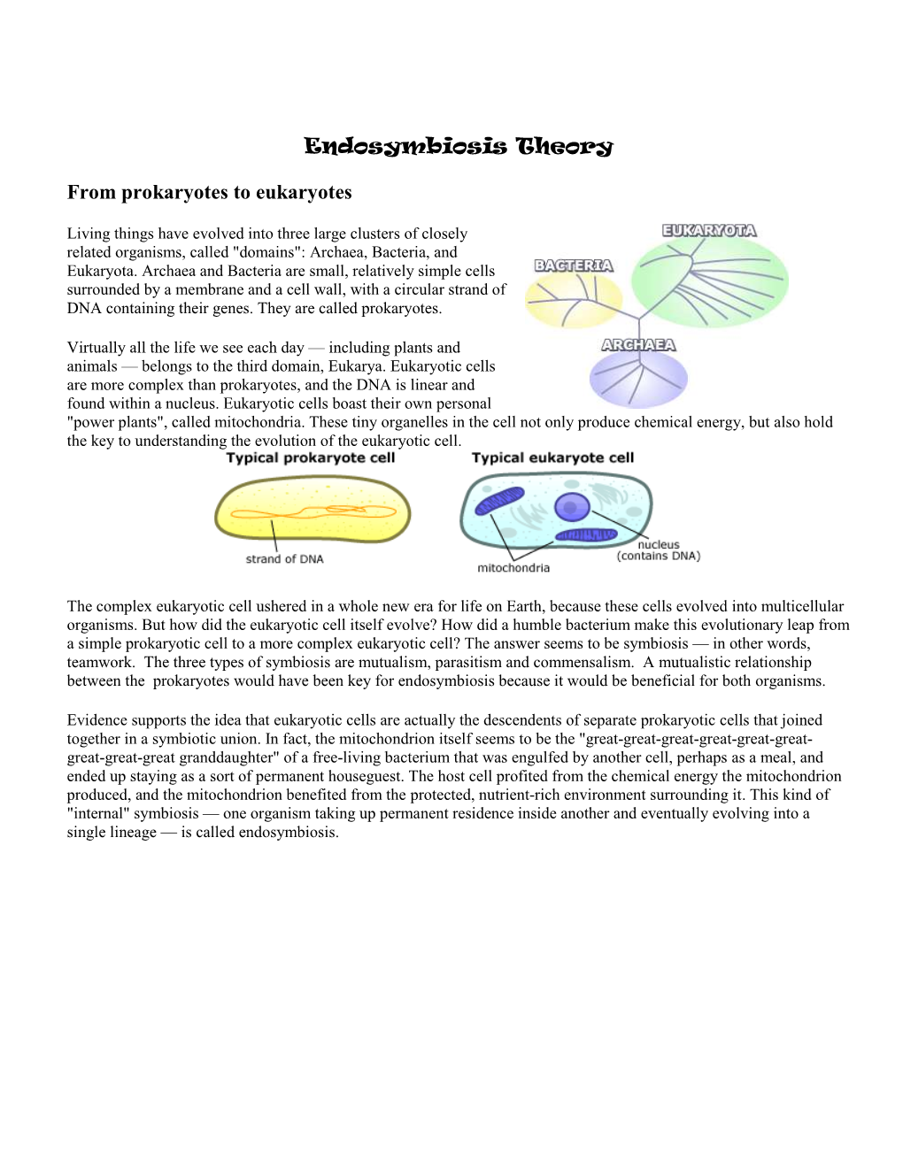 Endosymbiosis Theory from Prokaryotes to Eukaryotes