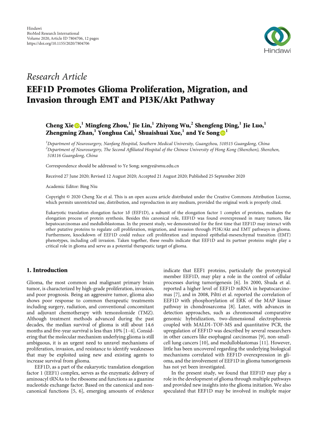 EEF1D Promotes Glioma Proliferation, Migration, and Invasion Through EMT and PI3K/Akt Pathway