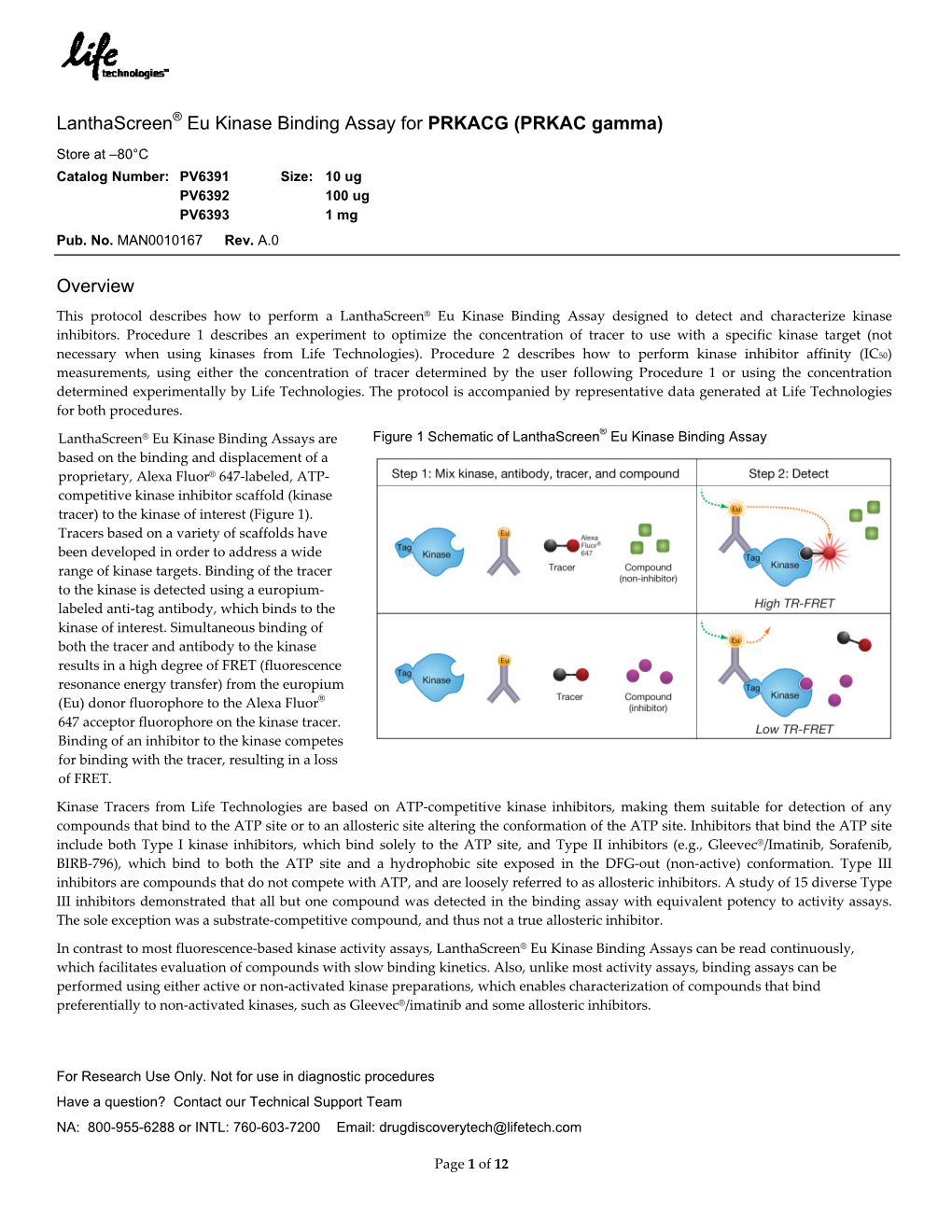 Lanthascreen® Eu Kinase Binding Assay for PRKACG (PRKAC Gamma)