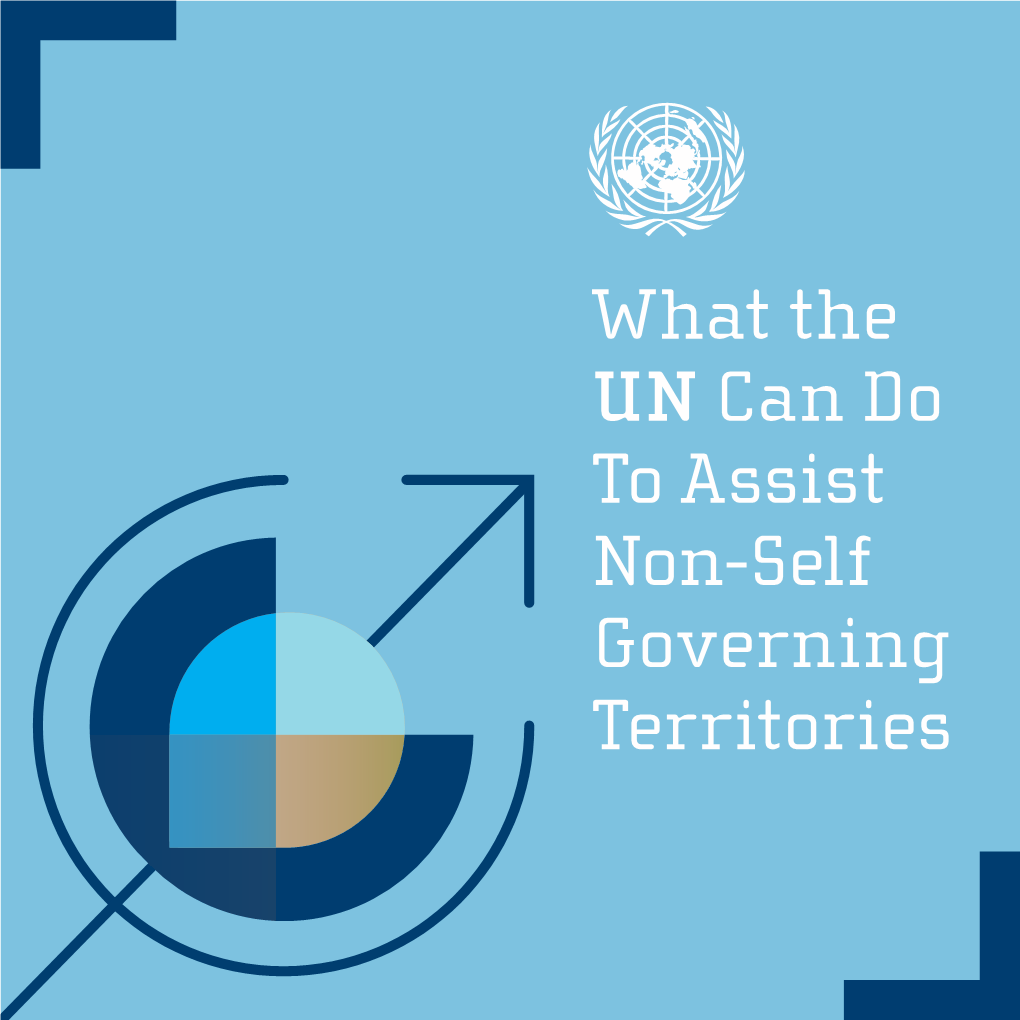 What the UN Can Do to Assist Non-Self