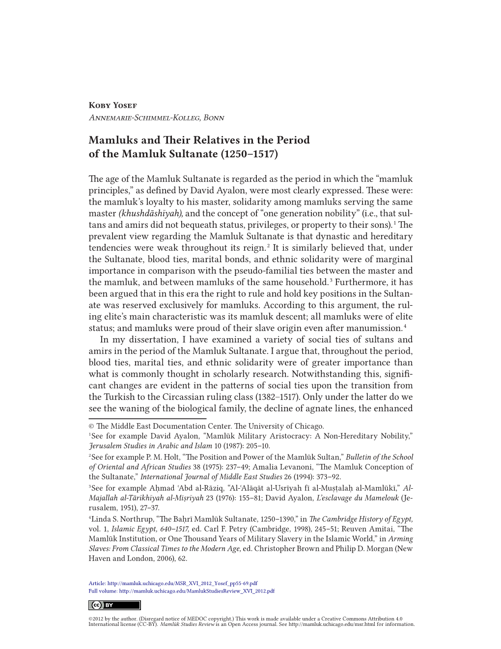 Mamluks and Their Relatives in the Period of the Mamluk Sultanate (1250-1517) (MSR XVI, 2012)