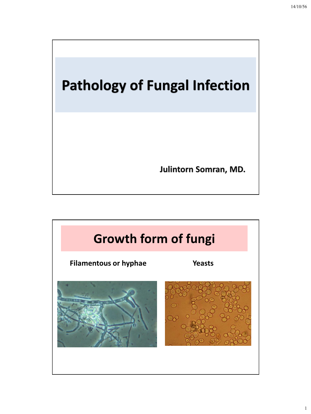 Pathology of Fungal Infection