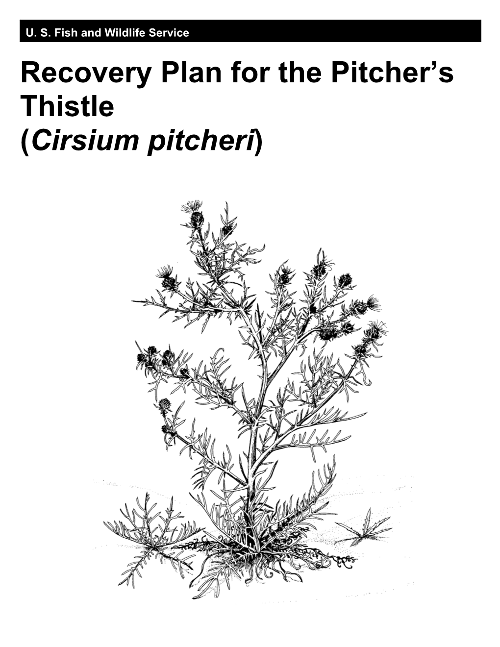 Pitcher's Thistle Recovery Plan