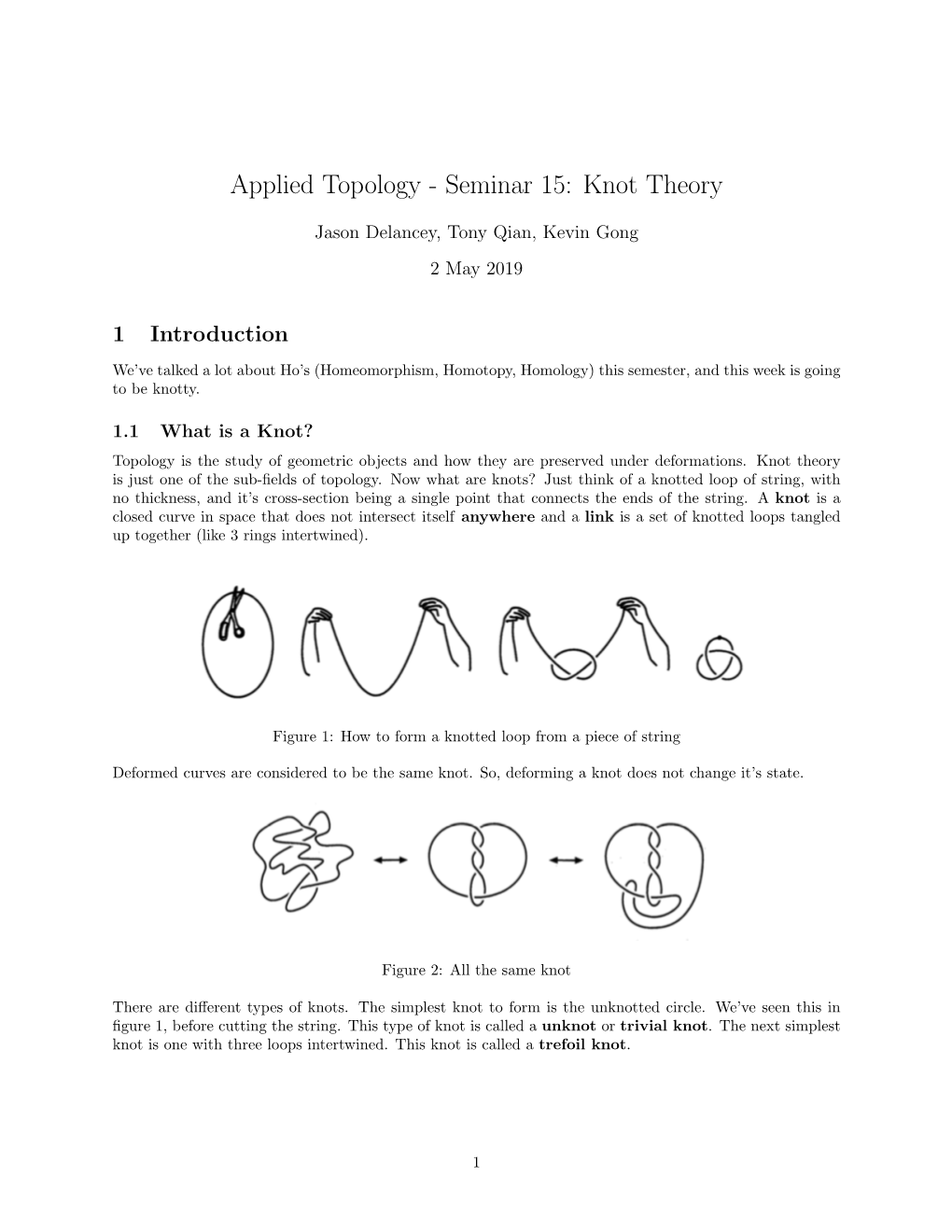 Applied Topology - Seminar 15: Knot Theory