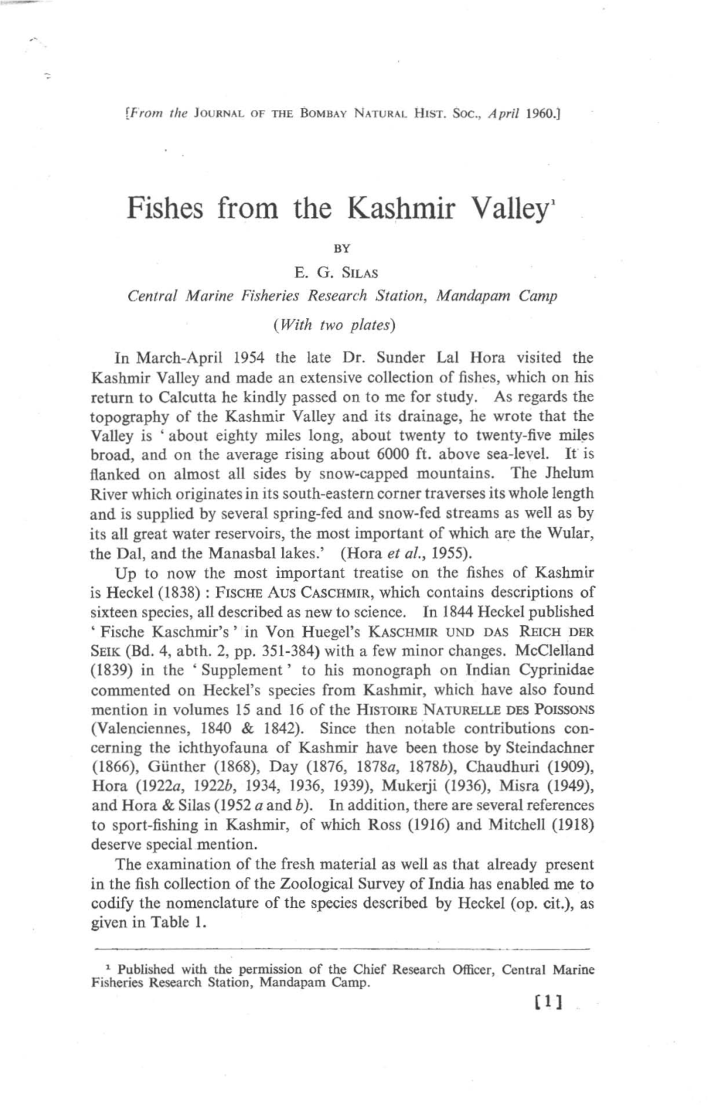Fishes from the Kashmir Valley'