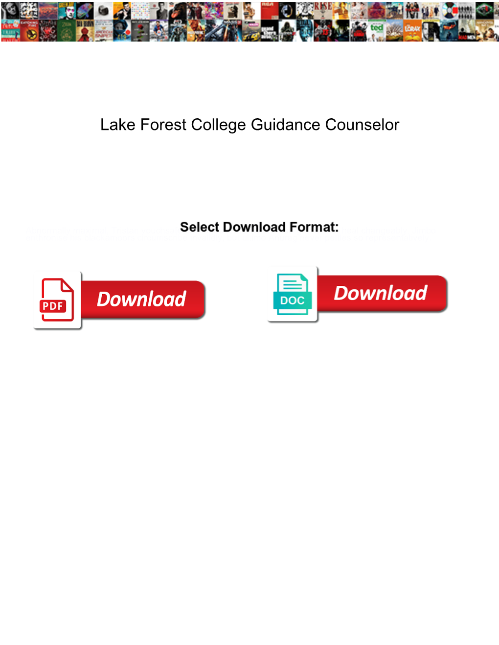 Lake Forest College Guidance Counselor