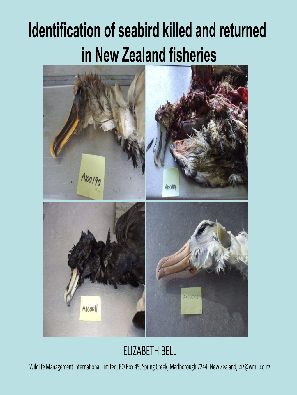 Inentification of Seabirds Captured in New Zealand Fisheries