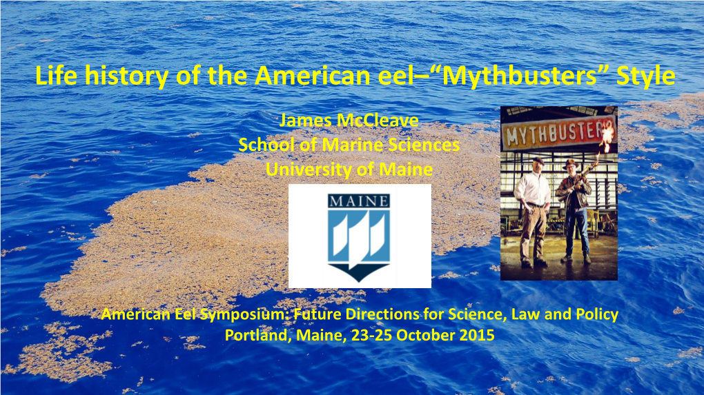 Life History of the American Eel–“Mythbusters” Style James Mccleave School of Marine Sciences University of Maine