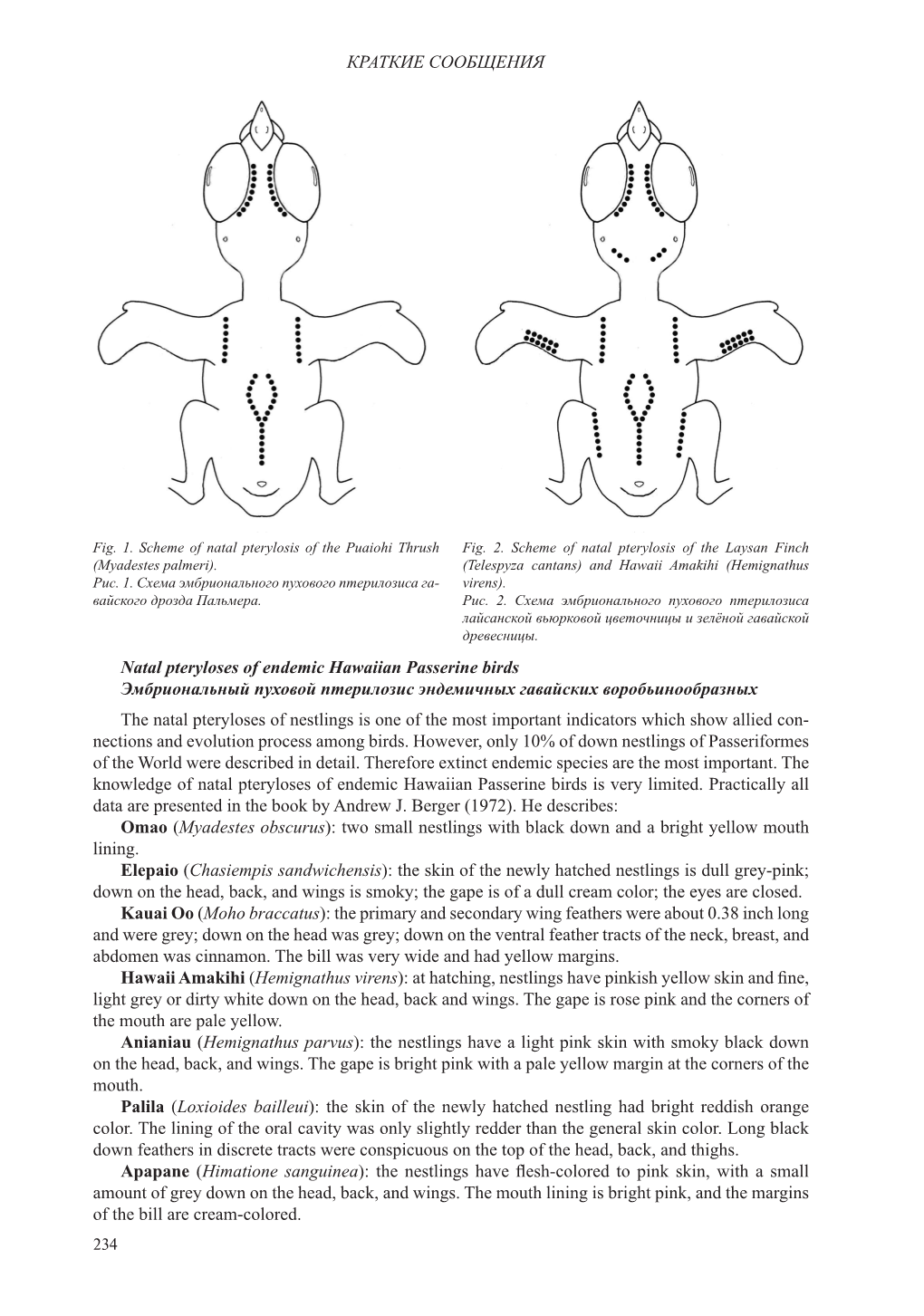 Natal Pteryloses of Endemic Hawaiian Passerine Birds Эмбриональный