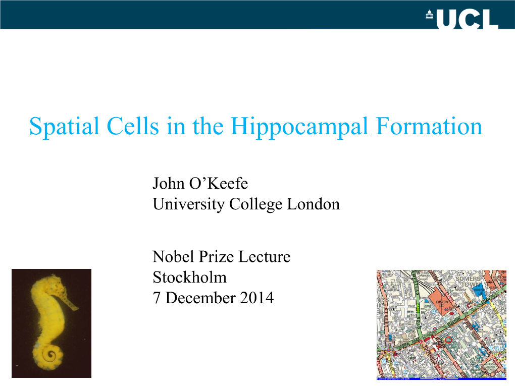 Spatial Cells in the Hippocampal Formation: Lecture Slides