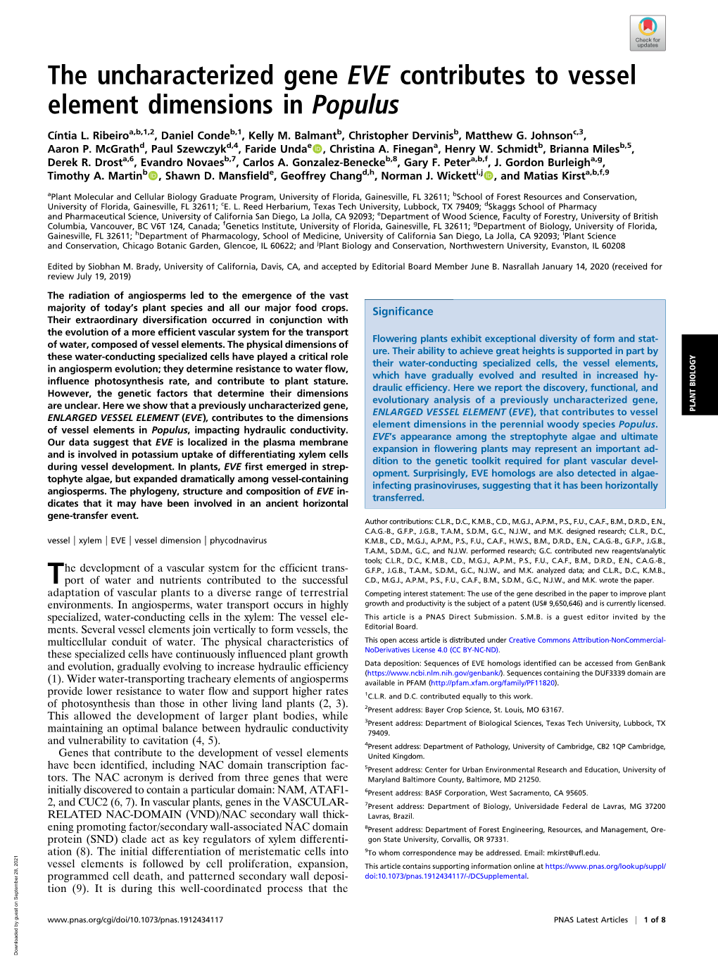 The Uncharacterized Gene EVE Contributes to Vessel Element Dimensions in Populus