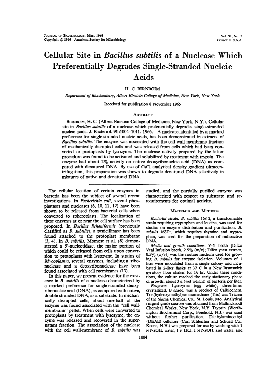 Cellular Site in Bacillus Subtilis of a Nuclease Which Preferentially Degrades Single-Stranded Nucleic Acids H