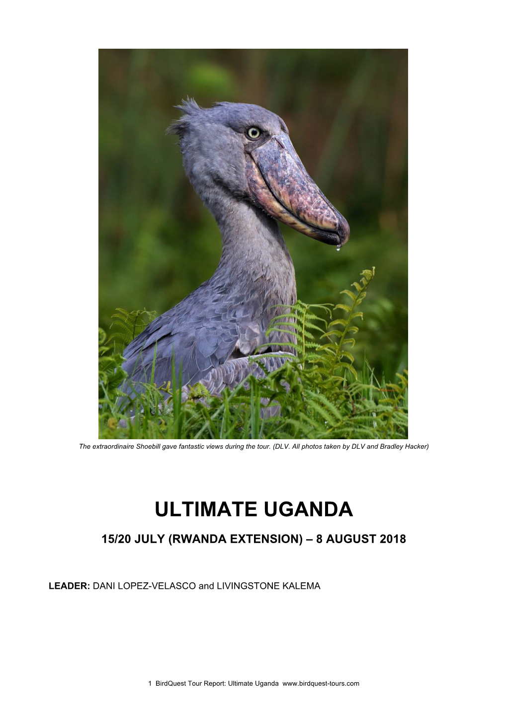 Ultimate Uganda