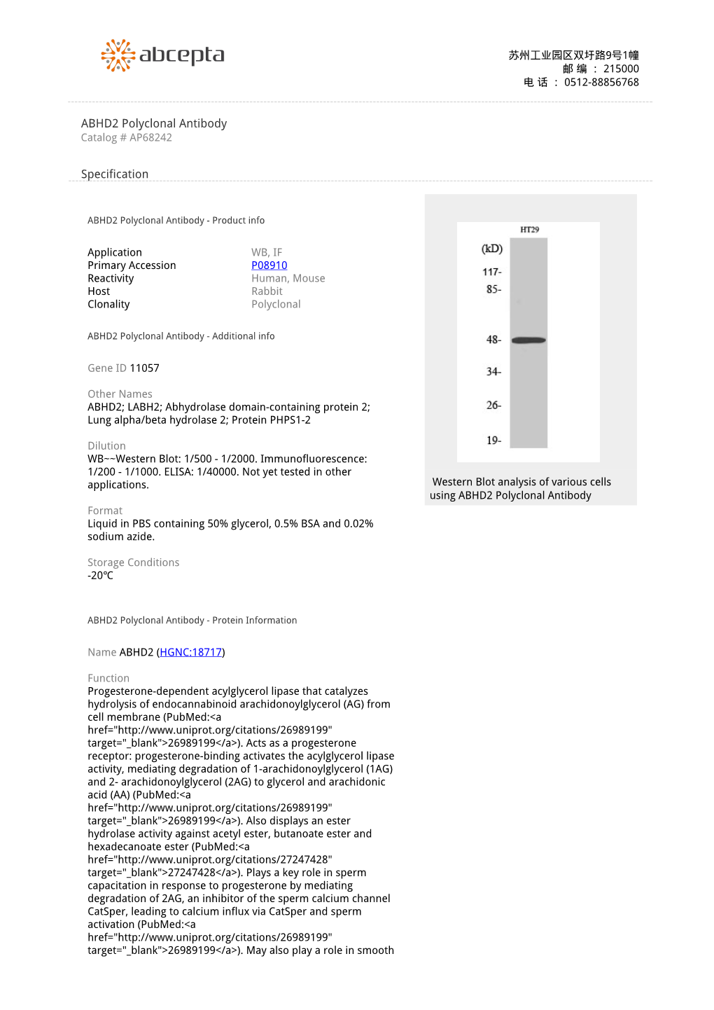 ABHD2 Polyclonal Antibody Catalog # AP68242