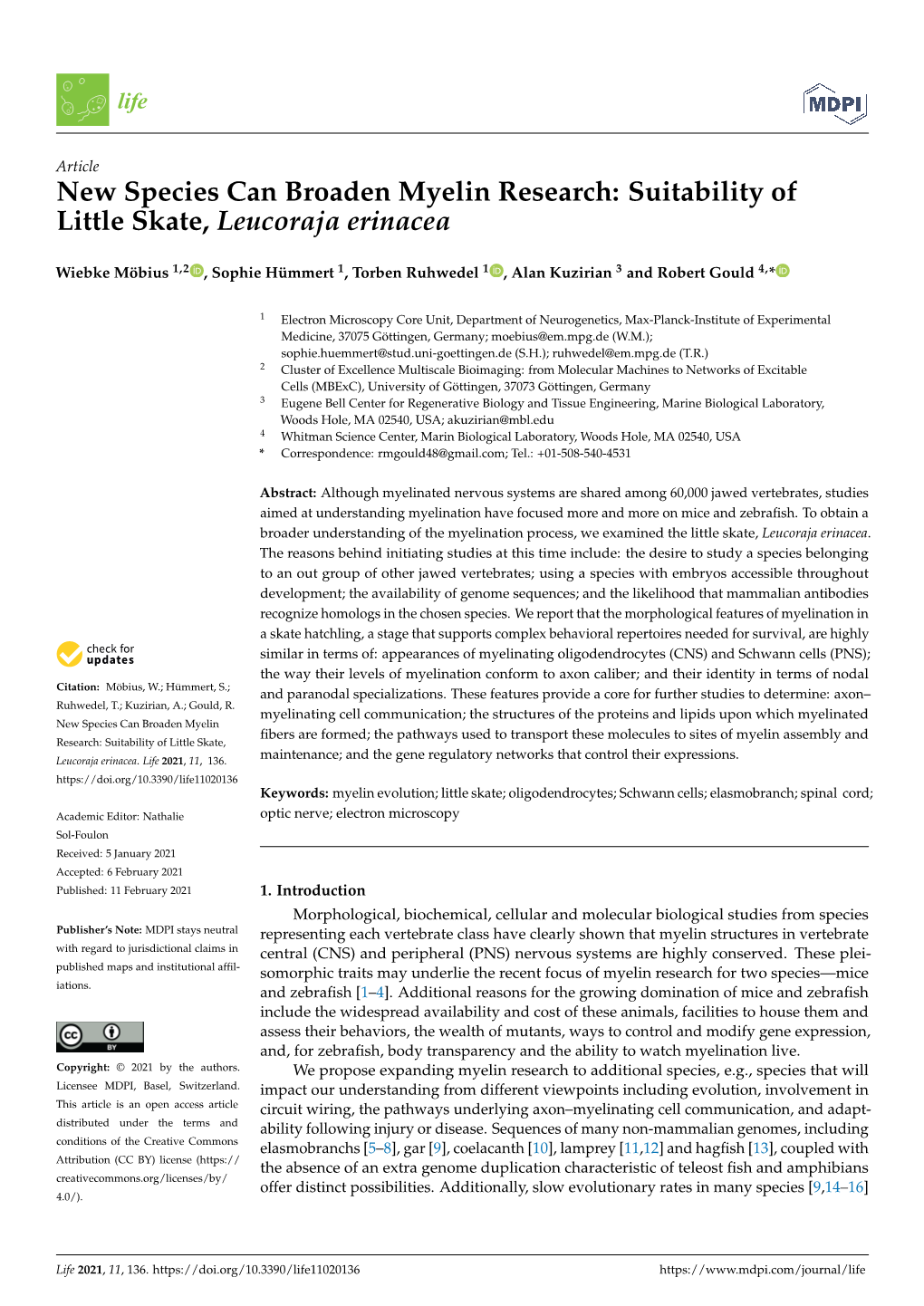 New Species Can Broaden Myelin Research: Suitability of Little Skate, Leucoraja Erinacea