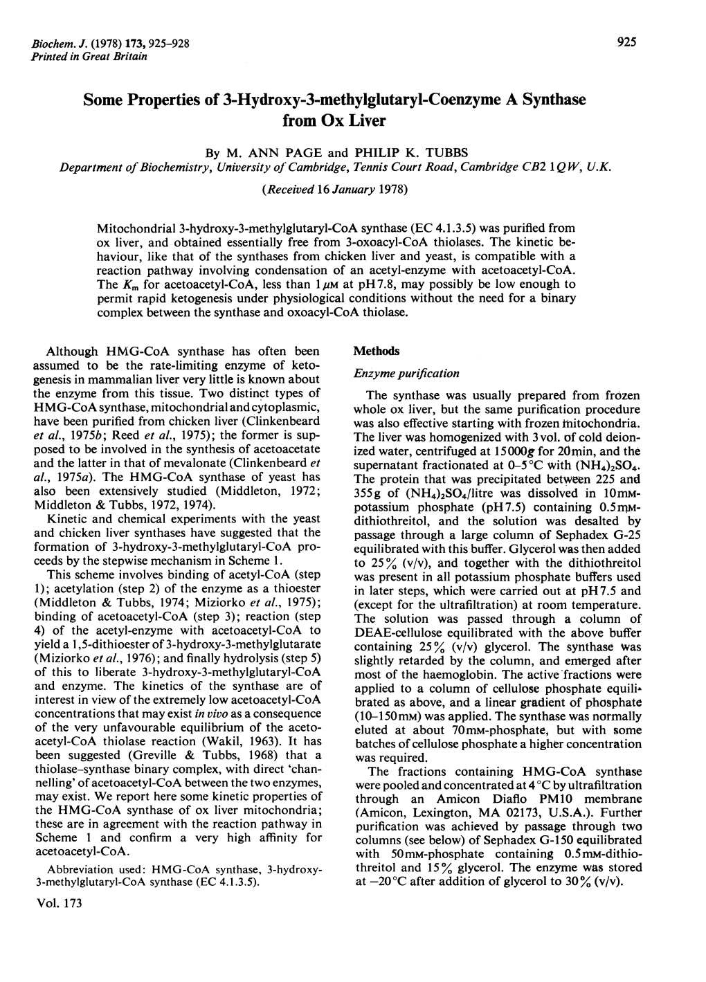 Some Properties of 3-Hydroxy-3-Methylglutaryl-Coenzyme a Synthase from Ox Liver