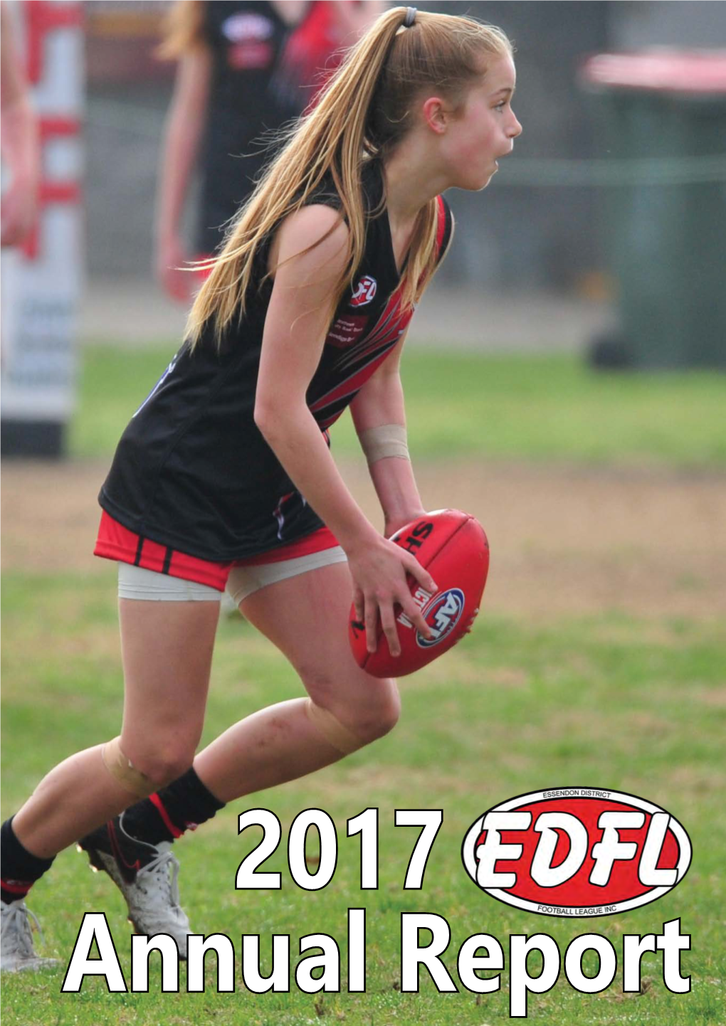 2017 EDFL Annual Report