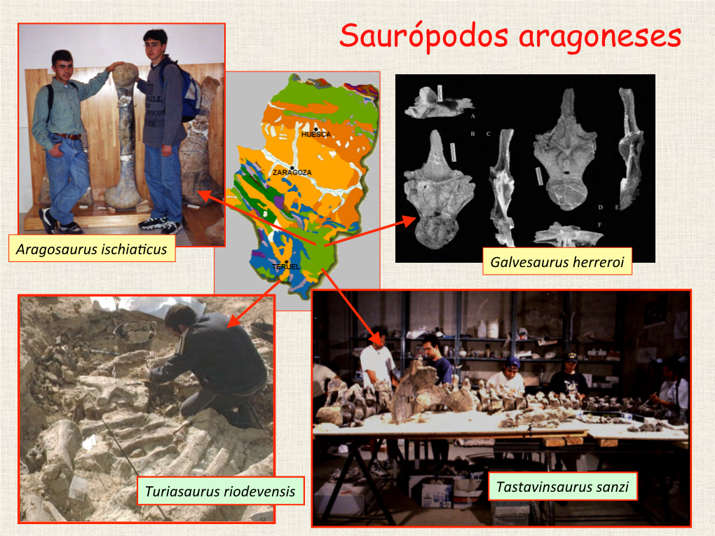 Tastavinsaurus Sanzi Aragosaurus: El Dinosaurio Dedicado a Aragón