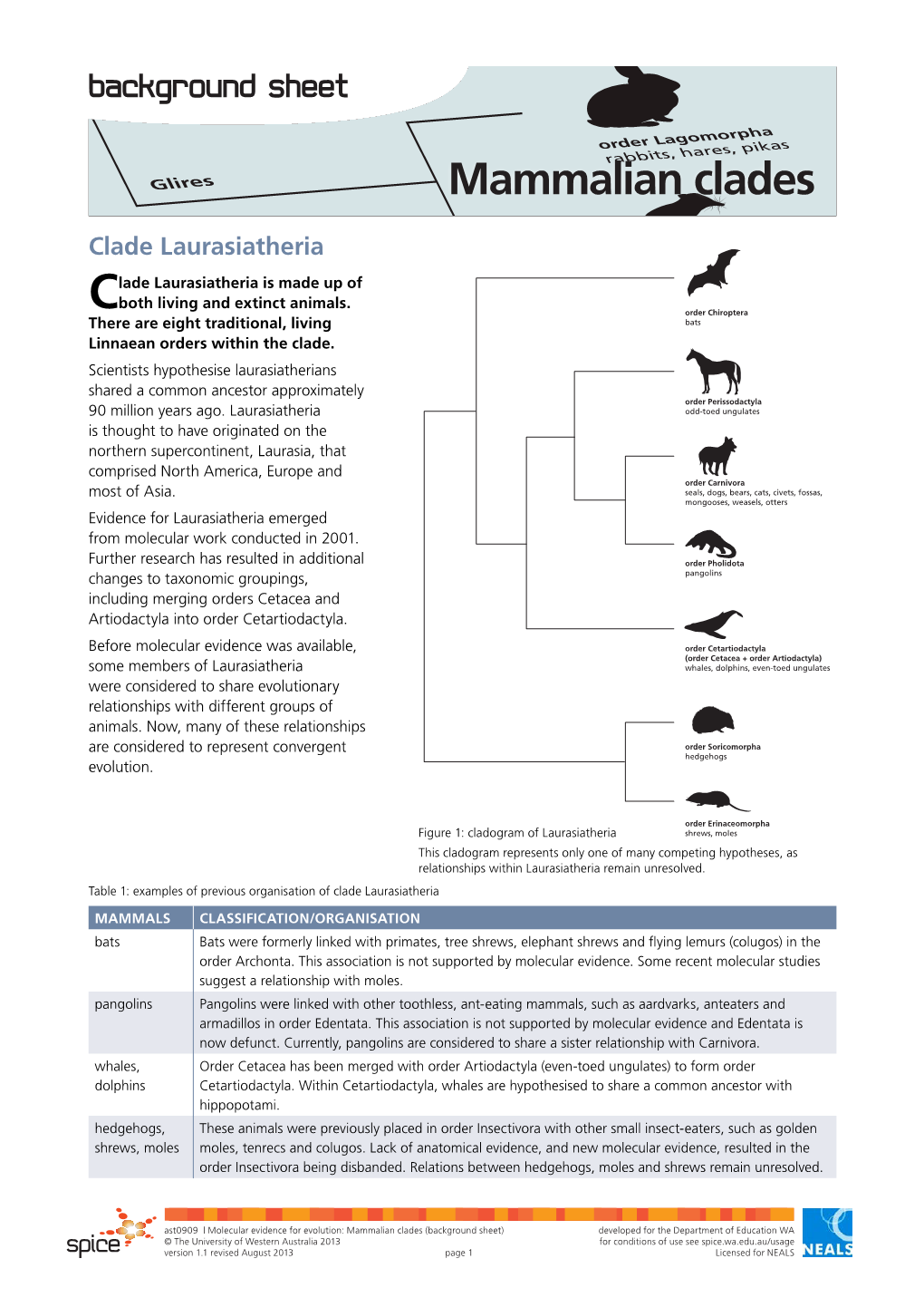 Mammalian Clades