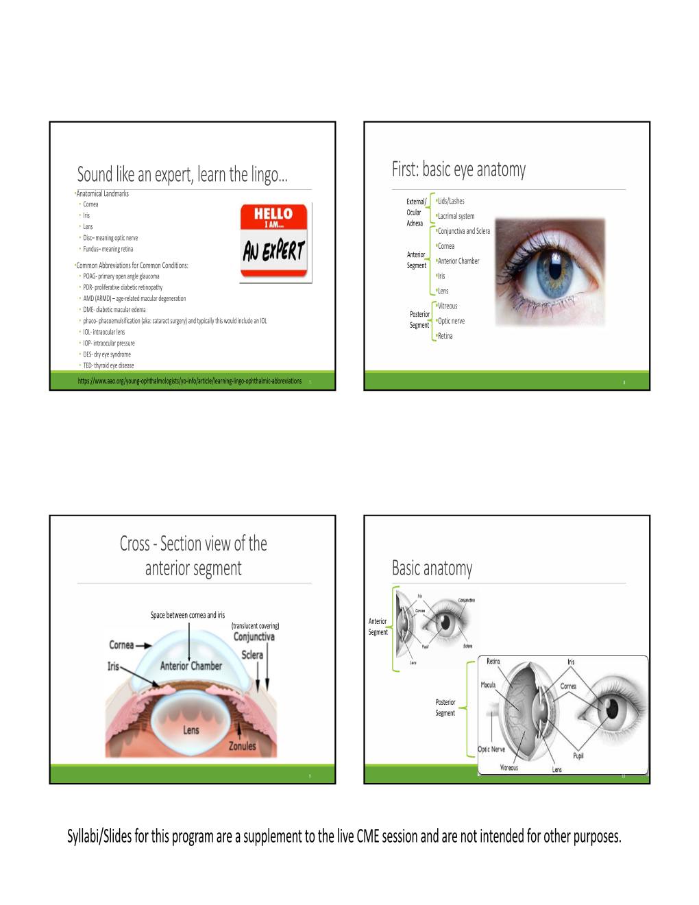 Basic Eye Anatomy Cross