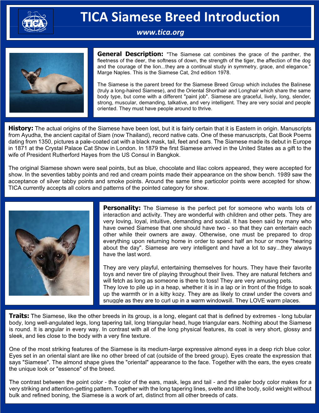 TICA Siamese Breed Introduction