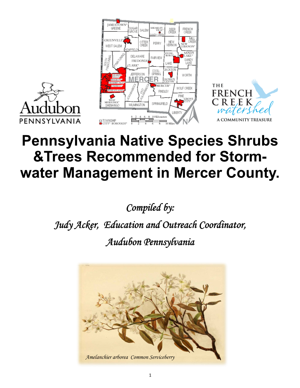 Pennsylvania Native Species Shrubs &Trees Recommended for Storm