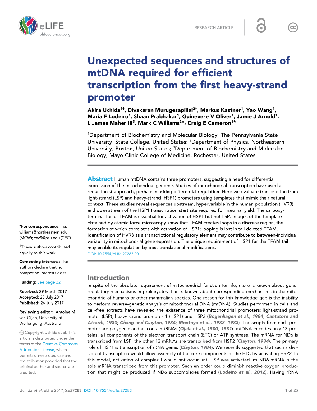 Unexpected Sequences and Structures of Mtdna Required for Efficient