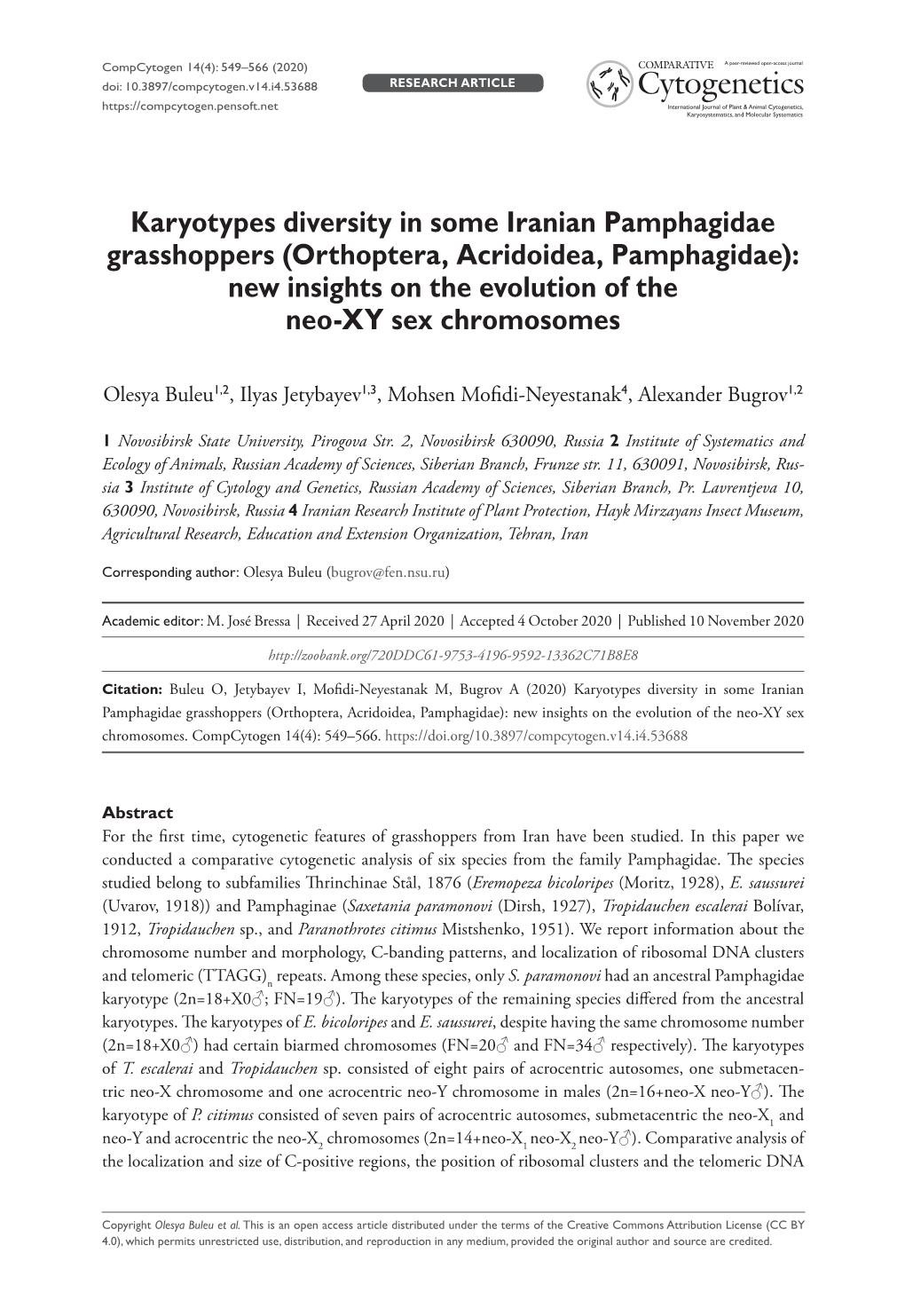 Orthoptera, Acridoidea, Pamphagidae): New Insights on the Evolution of the Neo-XY Sex Chromosomes