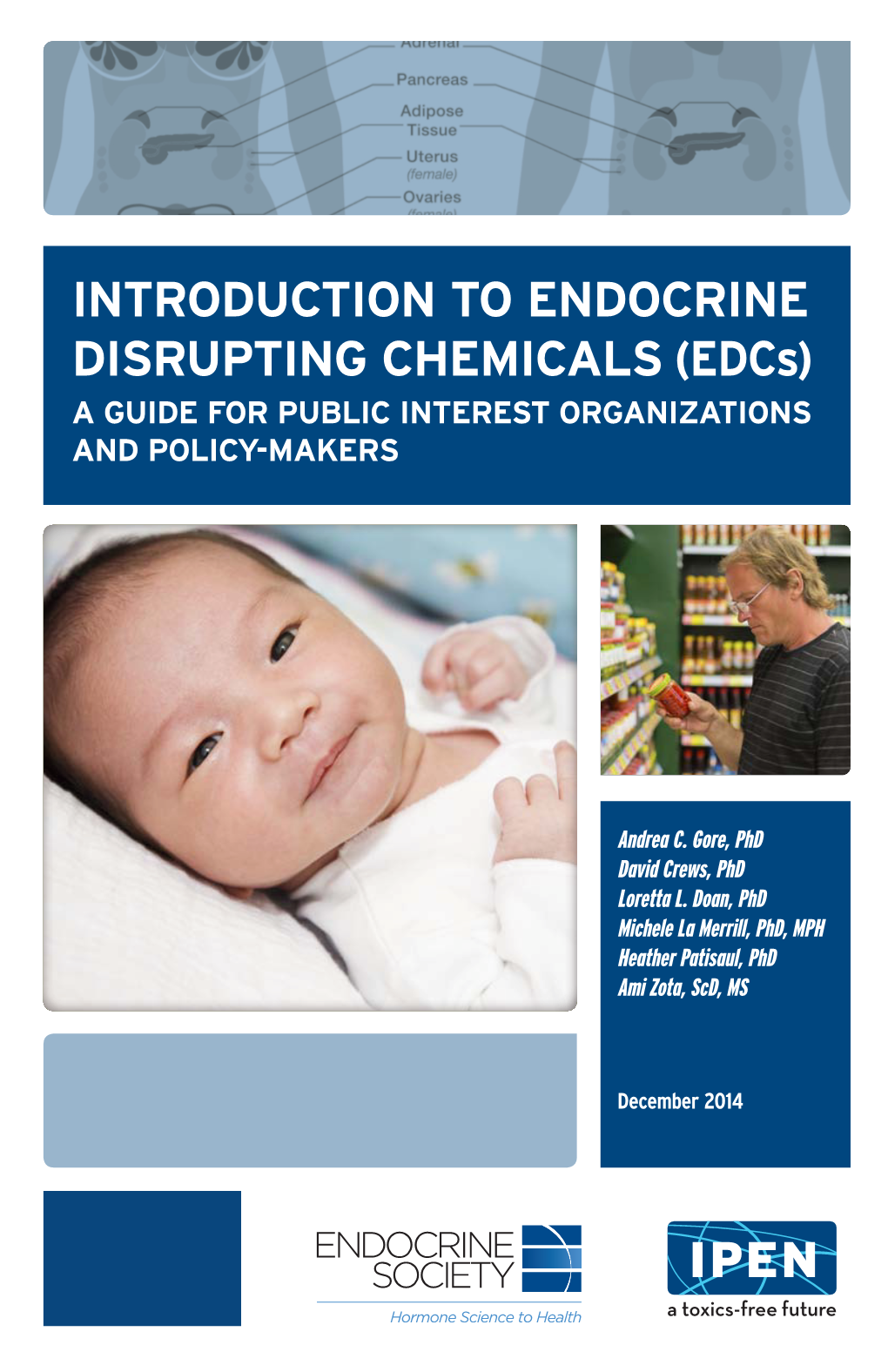 INTRODUCTION to ENDOCRINE DISRUPTING CHEMICALS (Edcs) a GUIDE for PUBLIC INTEREST ORGANIZATIONS and POLICY-MAKERS