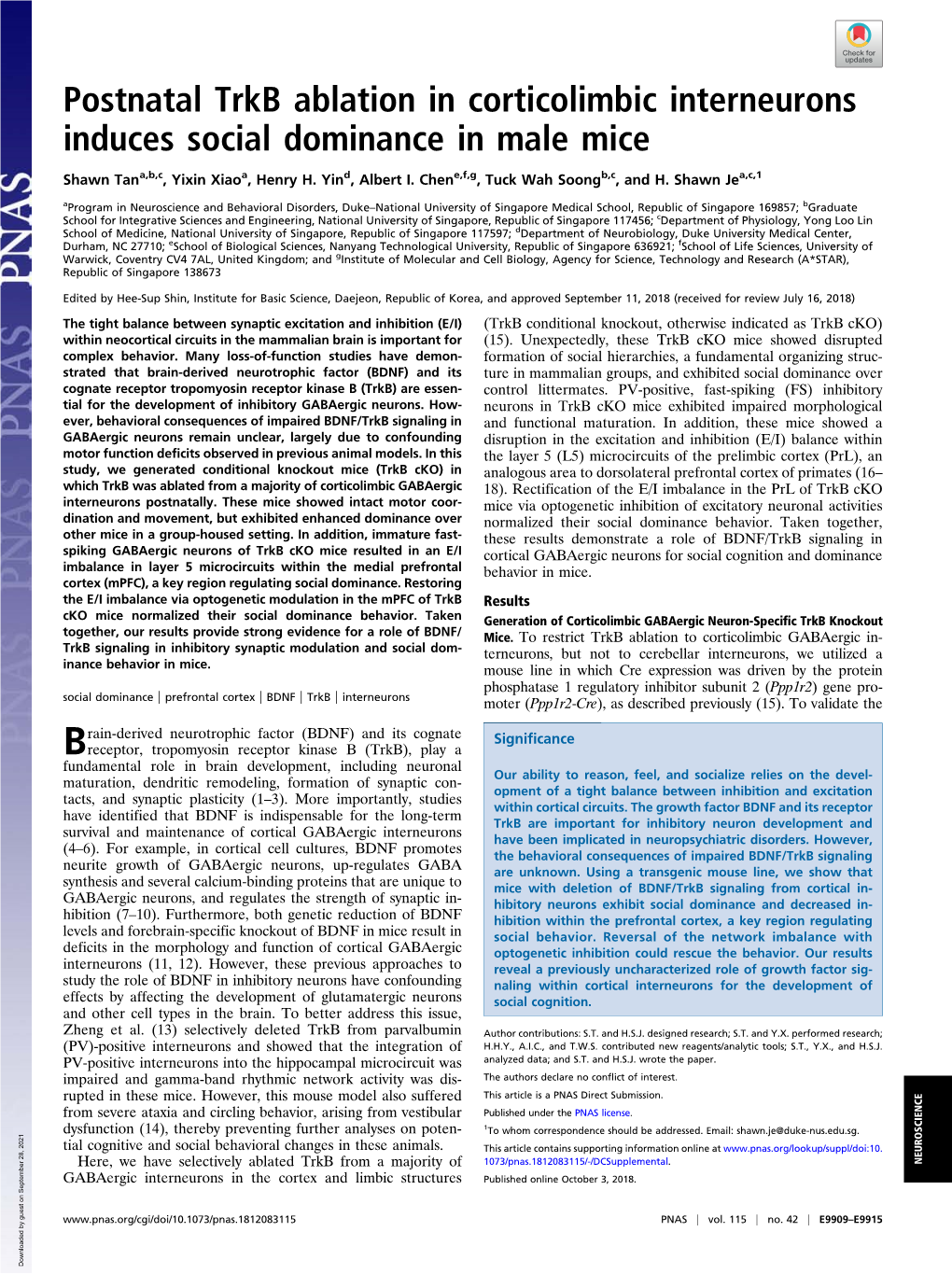 Postnatal Trkb Ablation in Corticolimbic Interneurons Induces Social Dominance in Male Mice