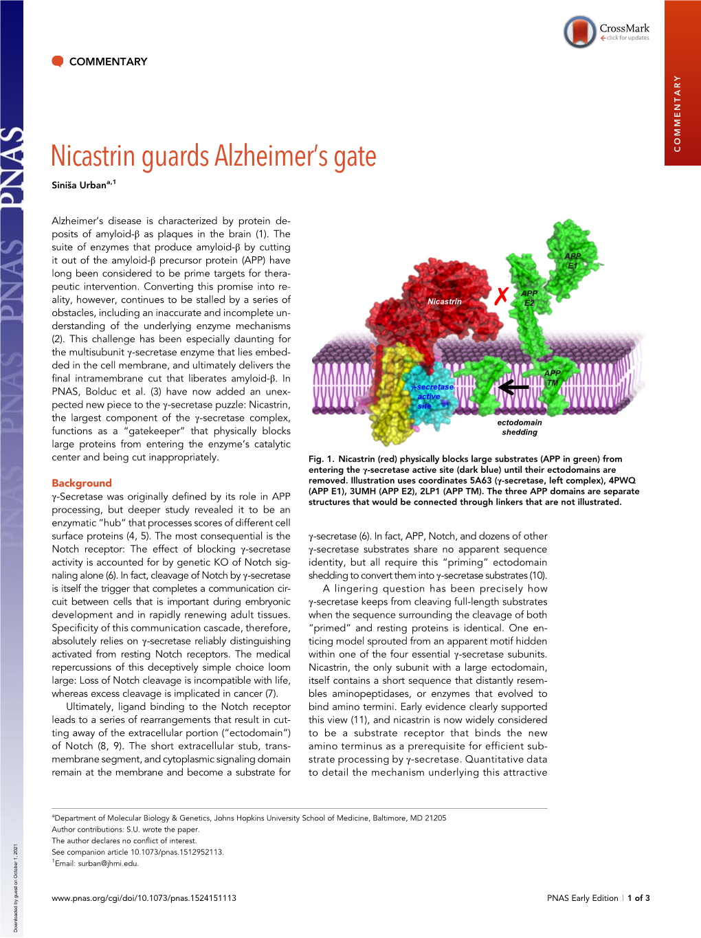 Nicastrin Guards Alzheimer's Gate