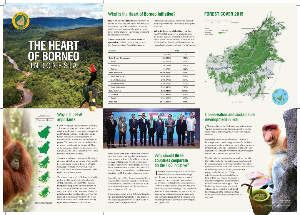 Of Borneo the Heart of Borneo the Heart