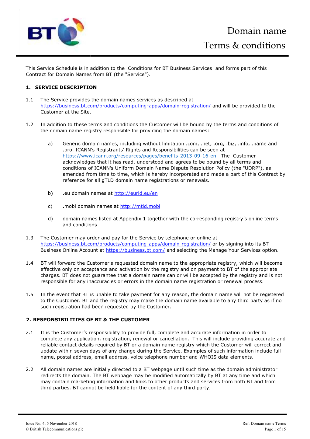 Domain Name Terms and Conditions