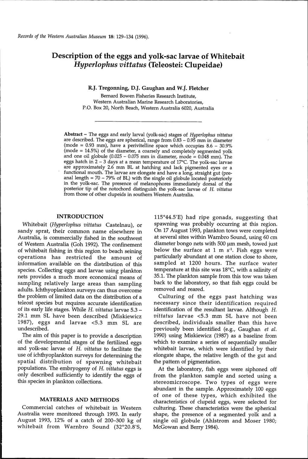 Description of the Eggs and Yolk-Sac Larvae of Whitebait Hyperlophus Vittatus (Teleostei: Clupeidae)