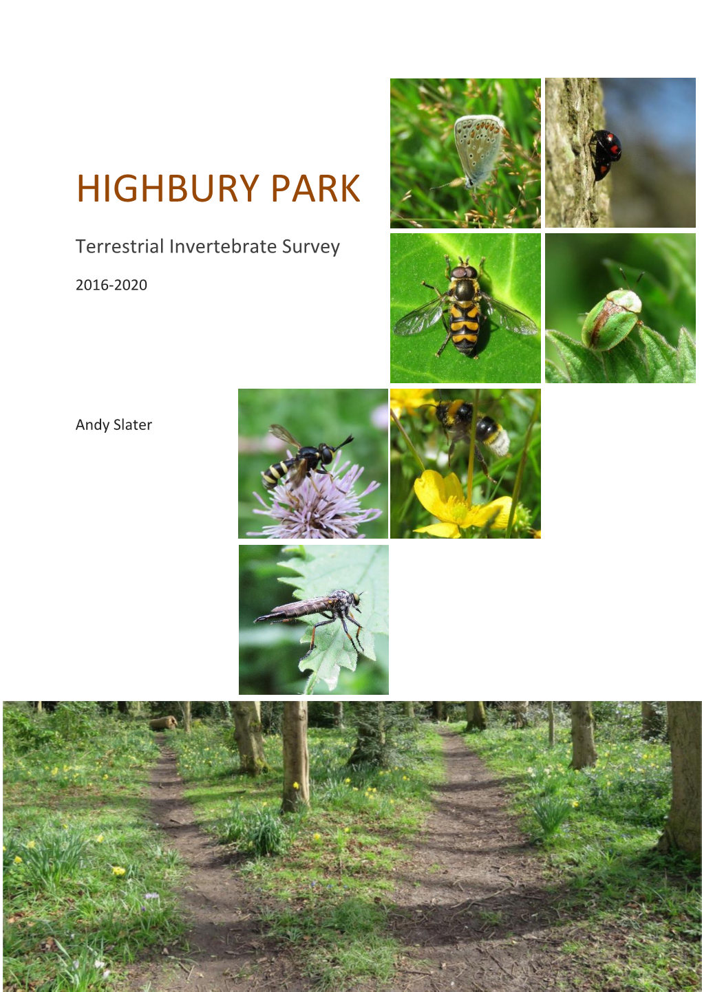 Highbury Park Invertebrate Survey