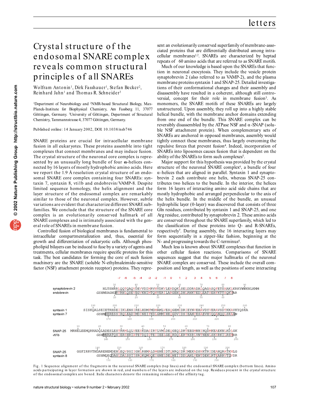 Letters Crystal Structure of the Endosomal SNARE Complex