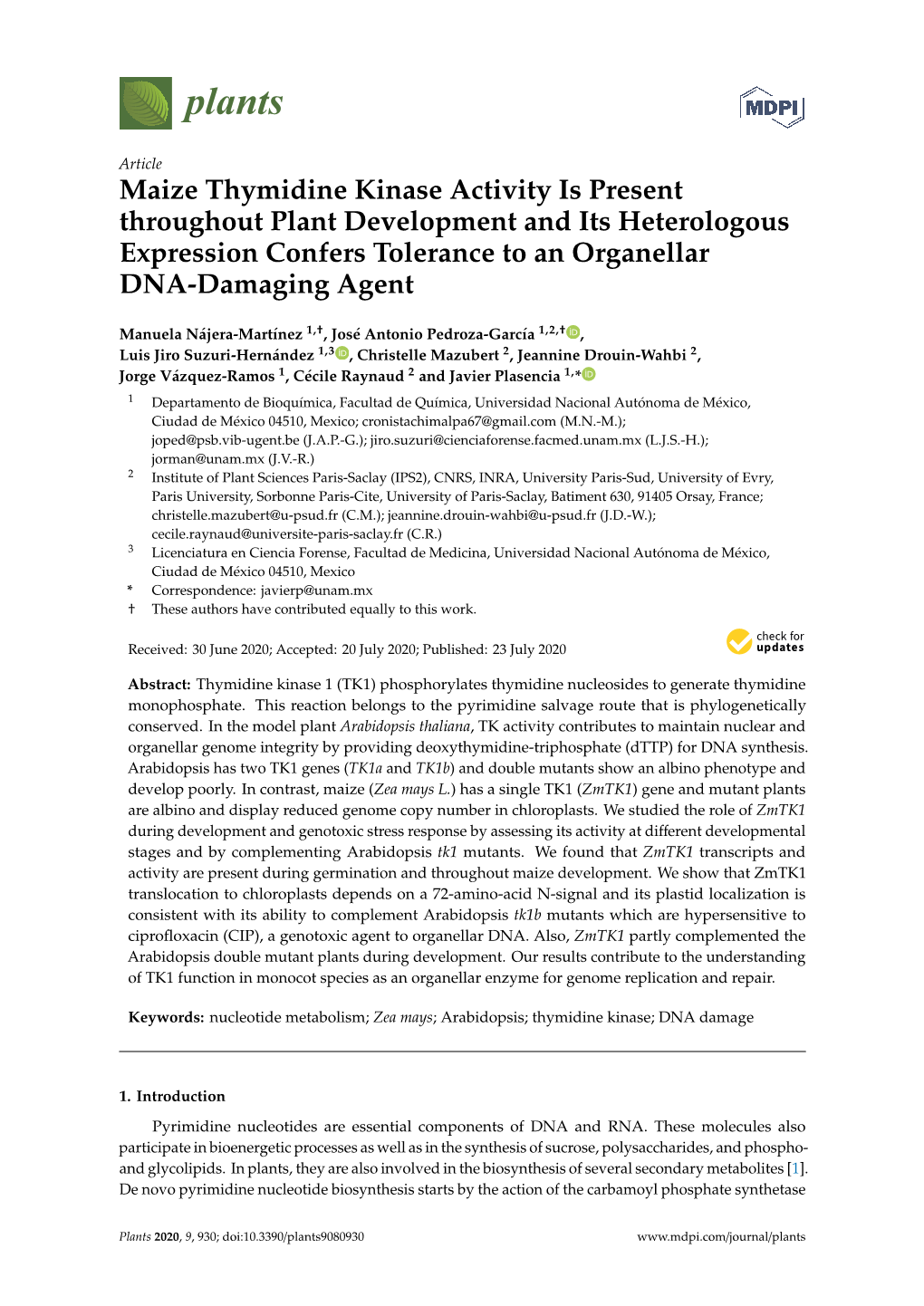 Maize Thymidine Kinase Activity Is Present Throughout Plant Development and Its Heterologous Expression Confers Tolerance to an Organellar DNA-Damaging Agent