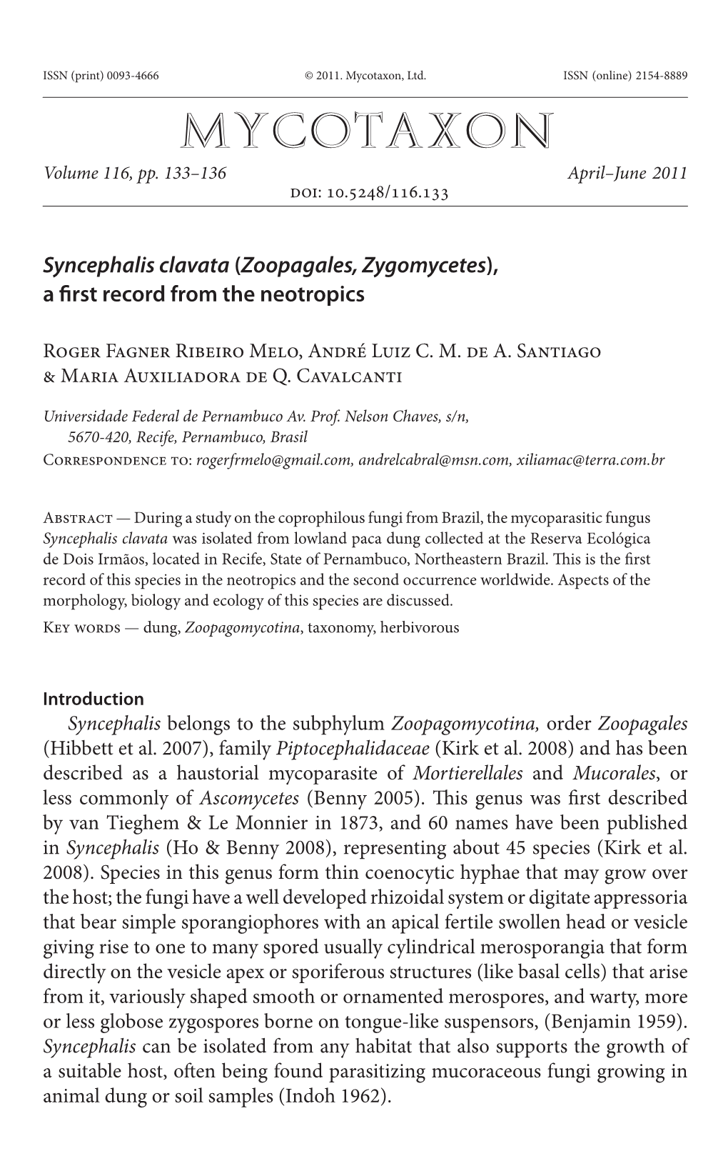 <I>Syncephalis Clavata</I> (<I>Zoopagales, Zygomycetes</I>)