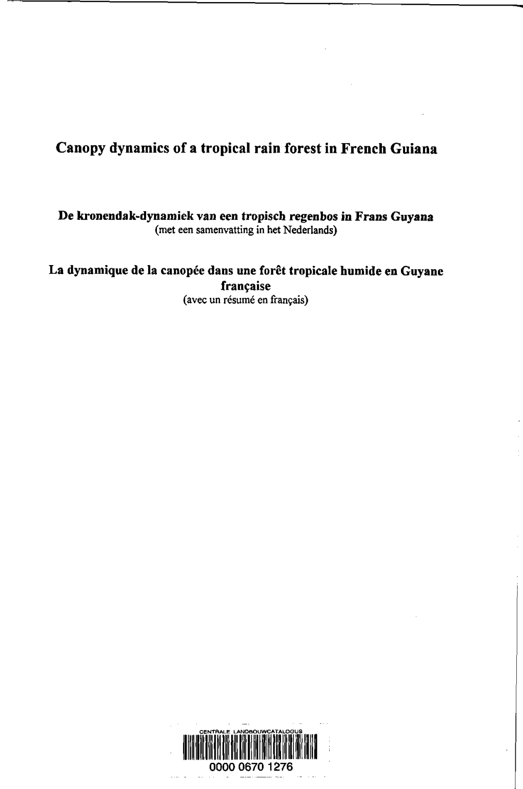 Canopy Dynamics of a Tropical Rain Forest in French