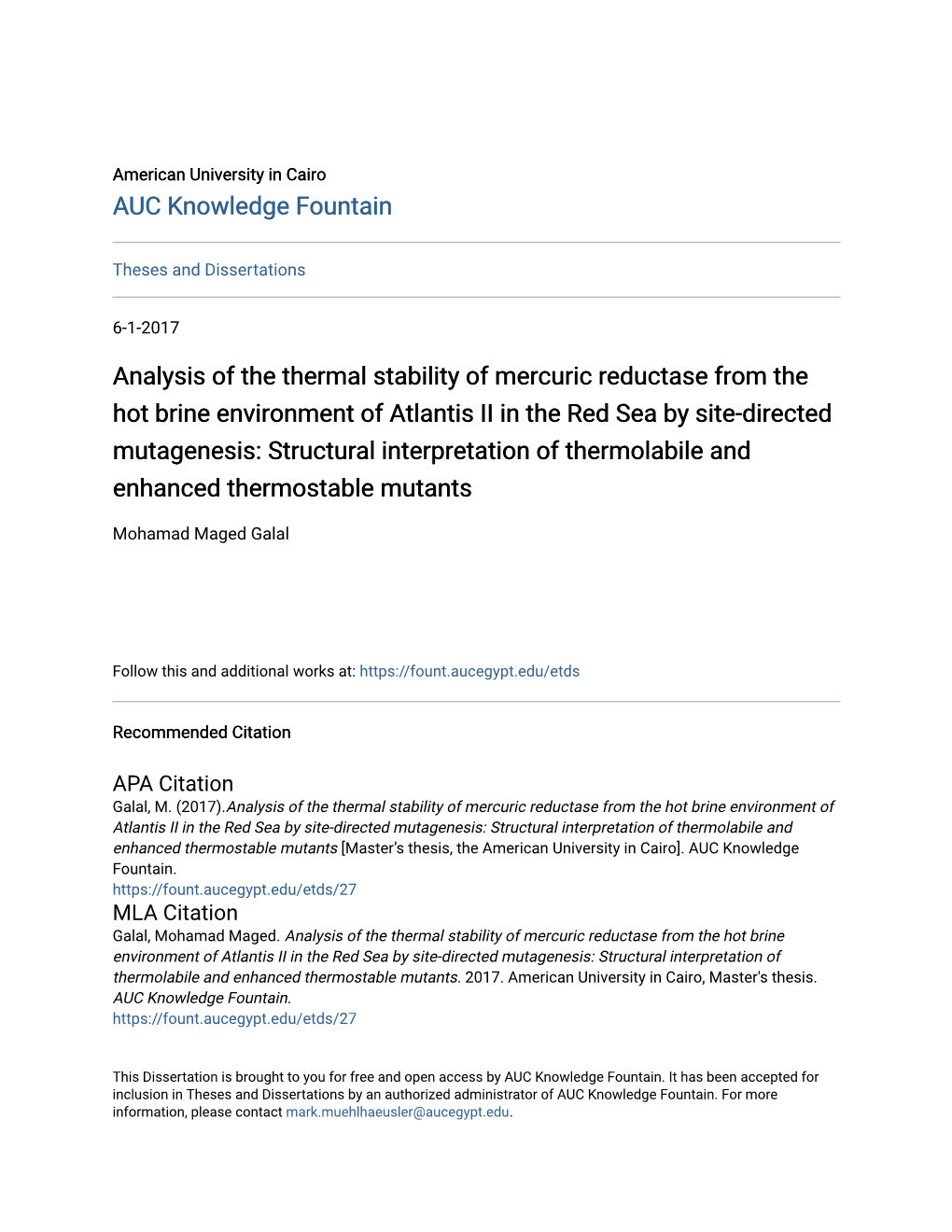 Analysis of the Thermal Stability of Mercuric Reductase from the Hot