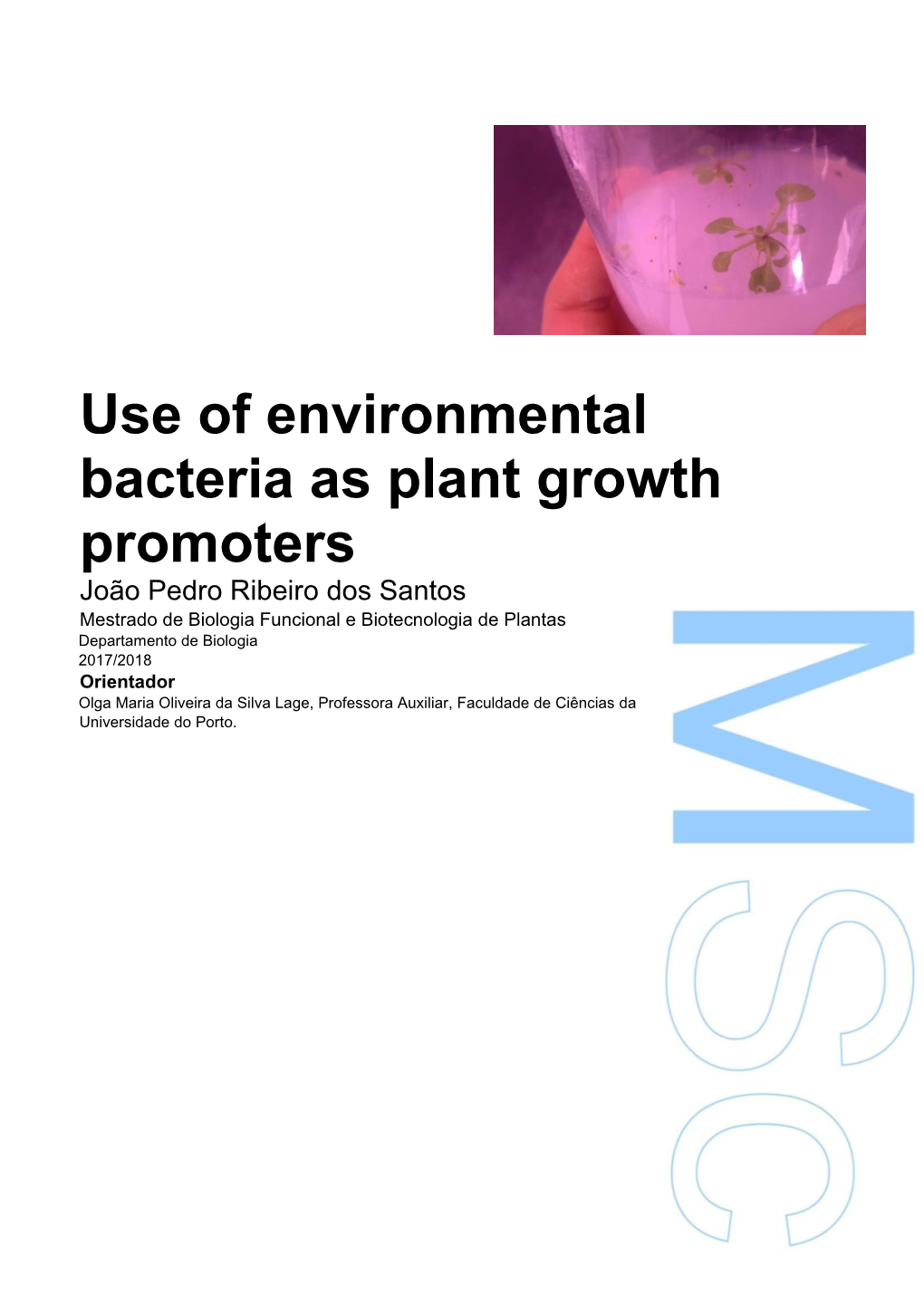 Use of Environmental Bacteria As Plant Growth Promoters