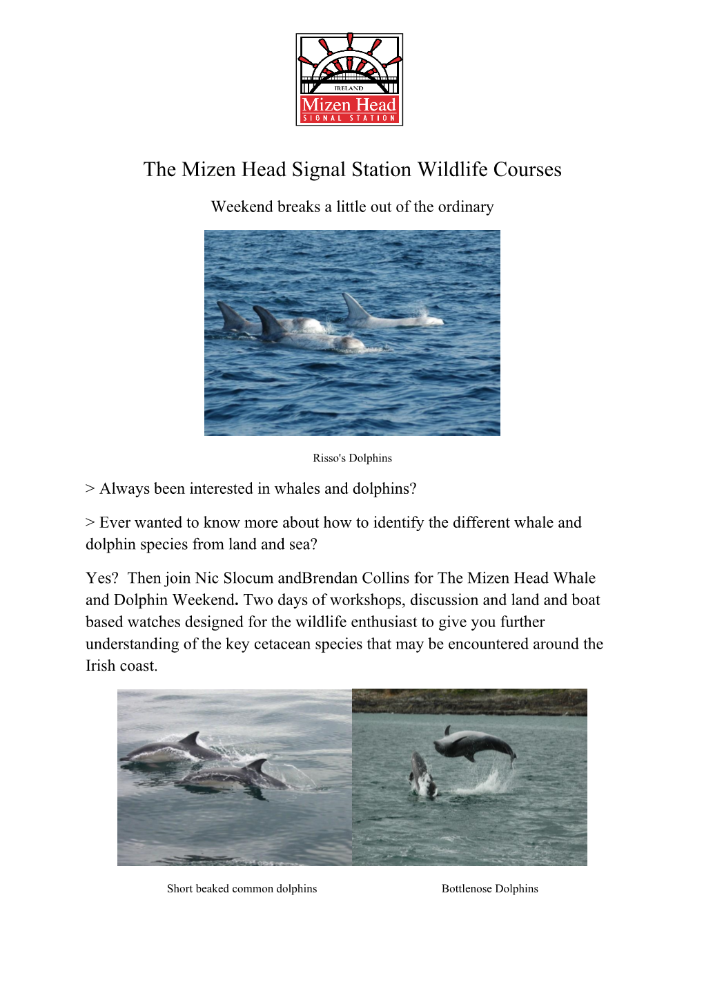 The Mizen Head Signal Station Wildlife Courses