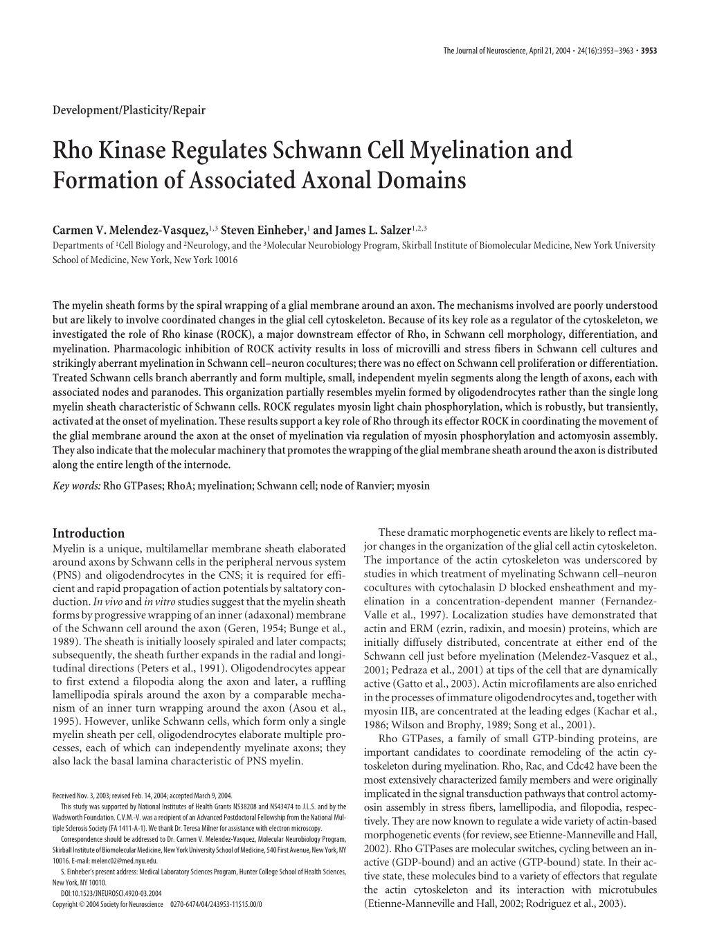 Rho Kinase Regulates Schwann Cell Myelination and Formation of Associated Axonal Domains