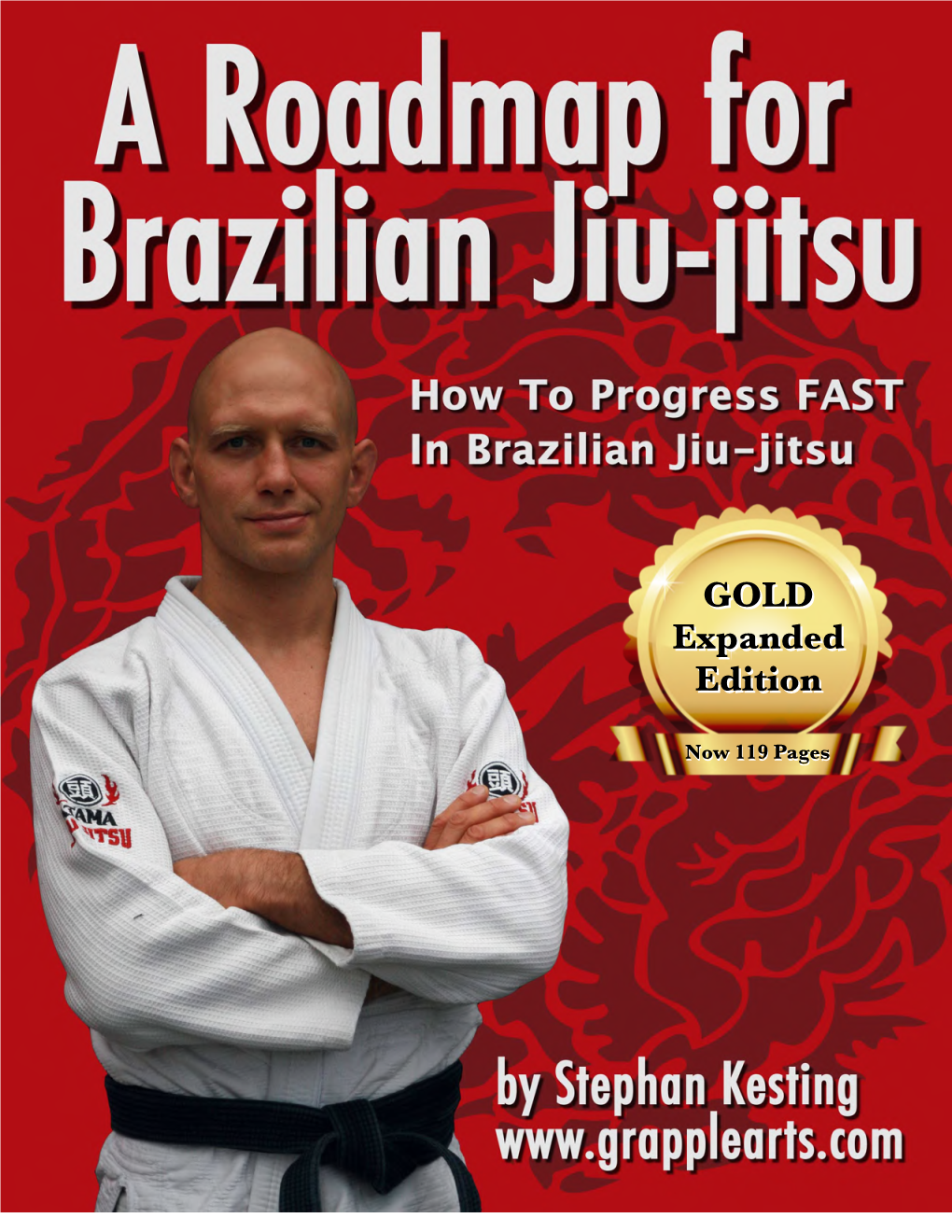 Roadmap-For-BJJ-Gold-Ver-2.0.Pdf