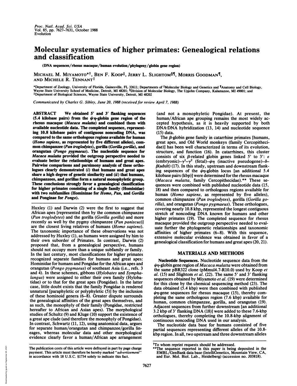 Molecular Systematics of Higher Primates: Genealogical Relations