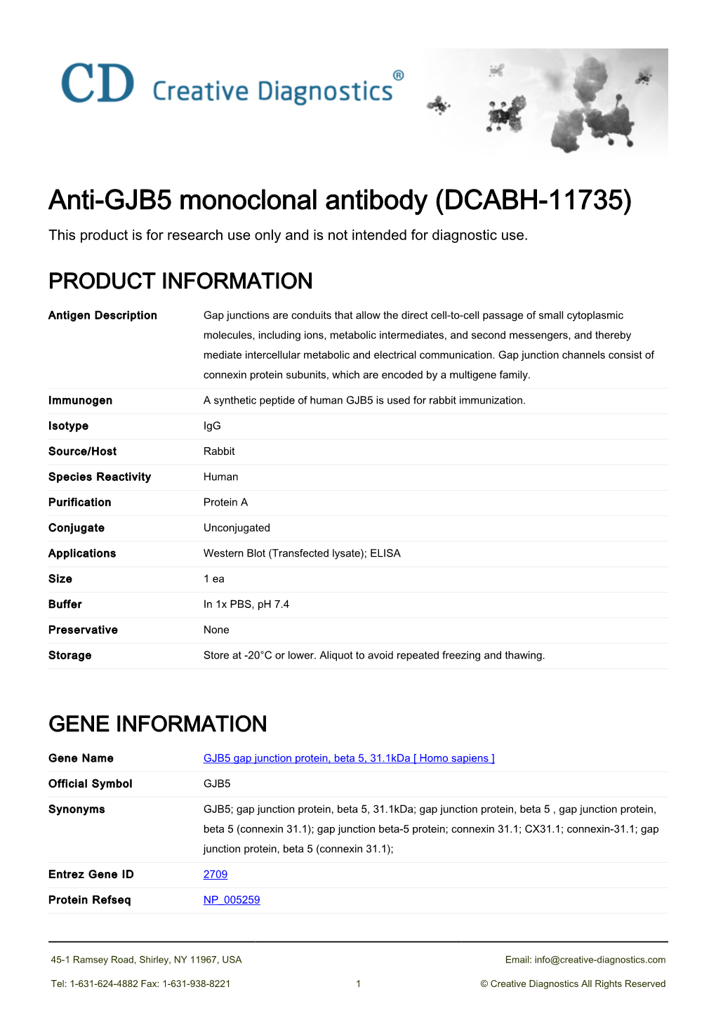 Anti-GJB5 Monoclonal Antibody (DCABH-11735) This Product Is for Research Use Only and Is Not Intended for Diagnostic Use